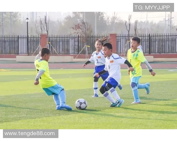 拖把头足球星逆袭绿茵赛场从默默无闻到世界焦点的励志传奇 拖把头足球星逆袭绿茵赛场从默默无闻到世界焦点的励志传奇