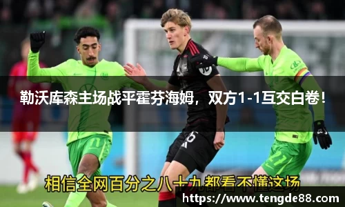 勒沃库森主场战平霍芬海姆，双方1-1互交白卷！