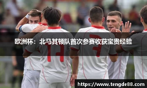 欧洲杯：北马其顿队首次参赛收获宝贵经验