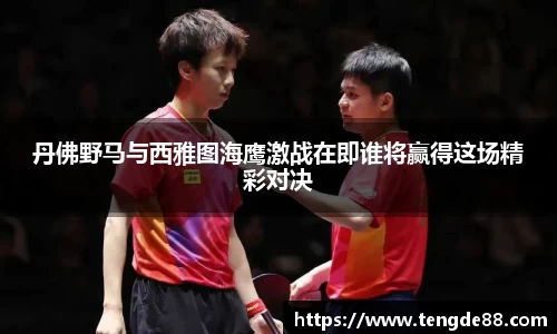 丹佛野马与西雅图海鹰激战在即谁将赢得这场精彩对决